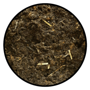 Biomüll mit Würmer Tag 21 wurmkompostierung