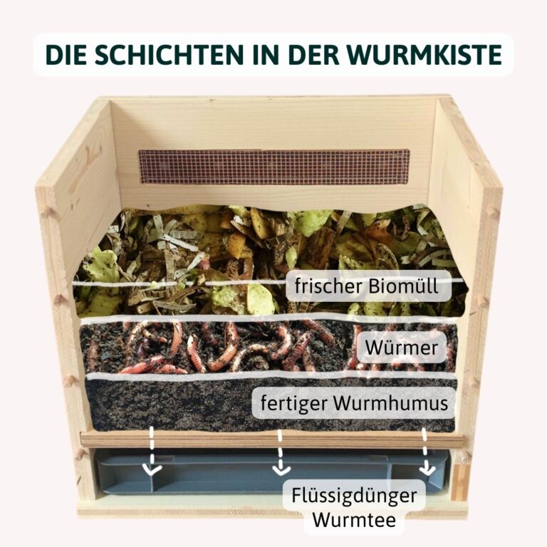 die wurmkiste – bild 9