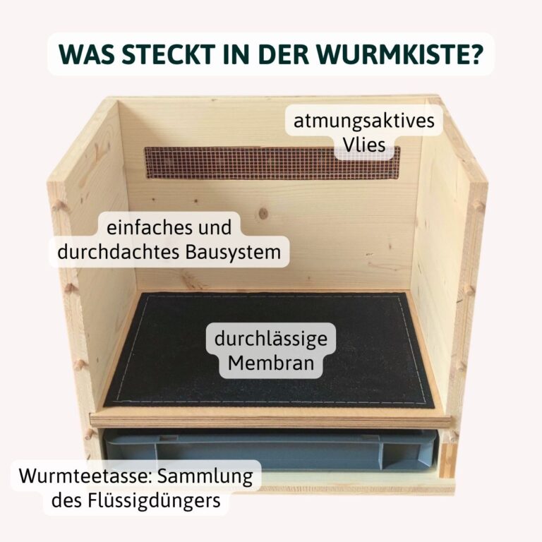 die wurmkiste – bild 8
