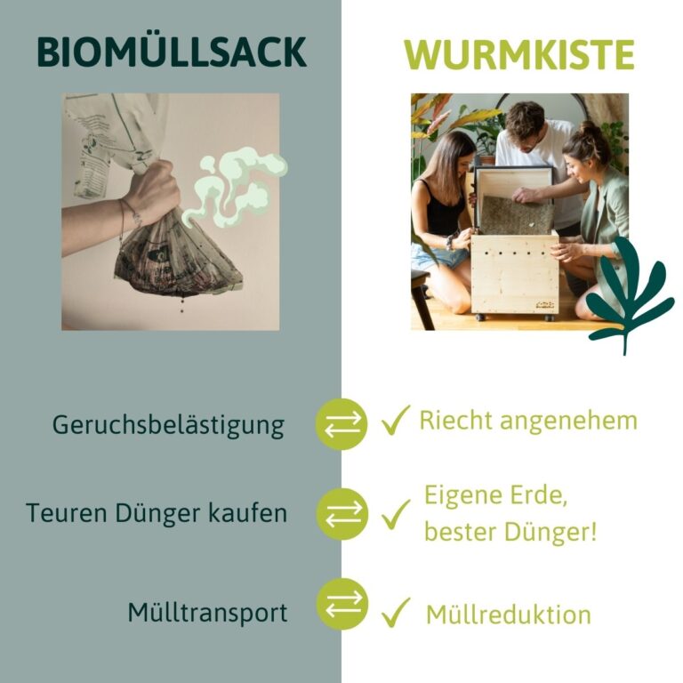 die wurmkiste – bild 7