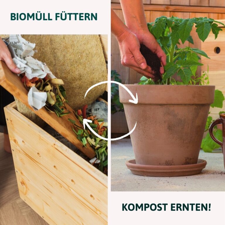 die wurmkiste – bild 3