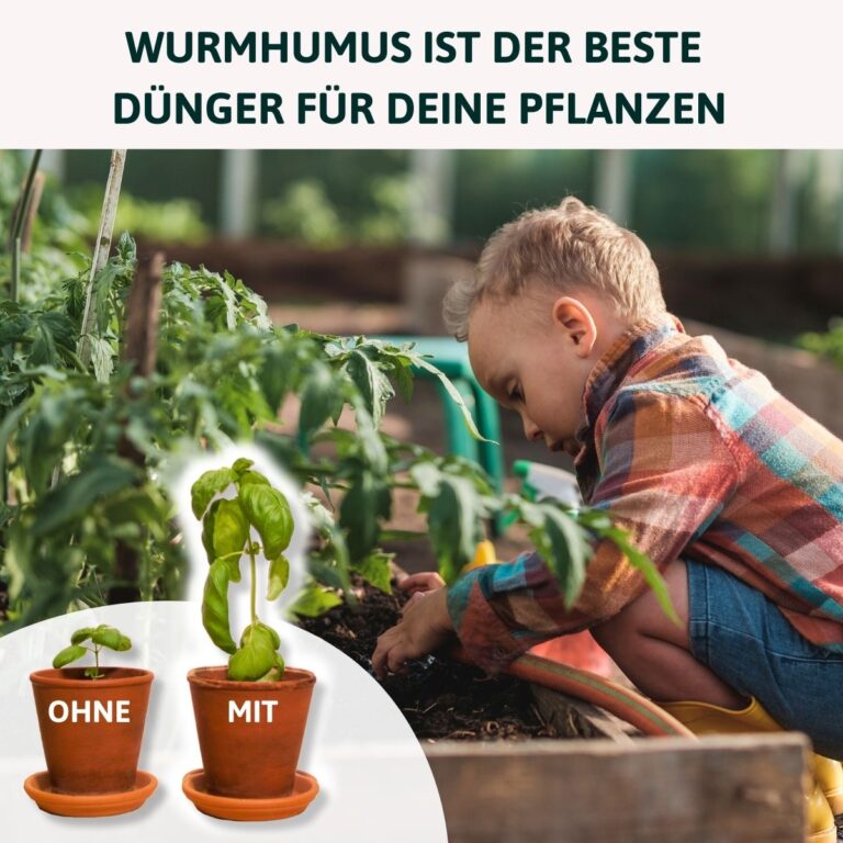 die wurmkiste – bild 13