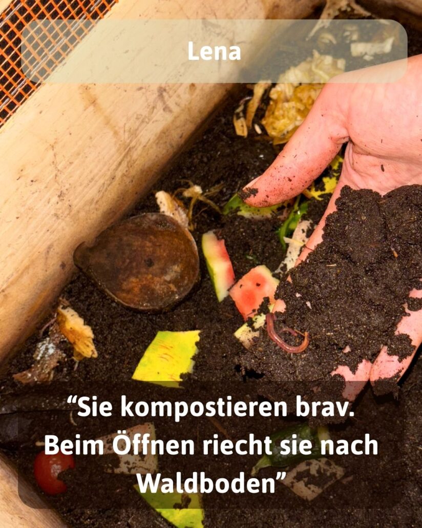 wurmkiste wurmkompostierung wurmzucht wuermer 10