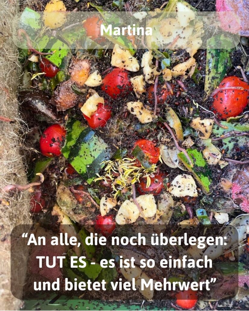 wurmkiste wurmkompostierung wurmzucht wuermer 11