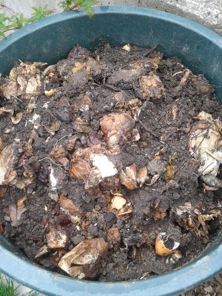 bokashi w%C3%BCrmer kompost wurmkiste wurmkomposter