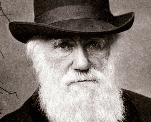 Charles Darwin 1880