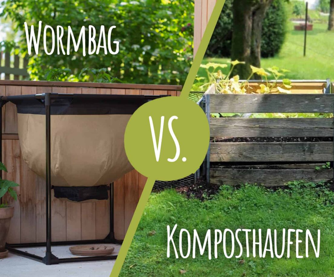 wormbag vs komposthaufen blogpreview