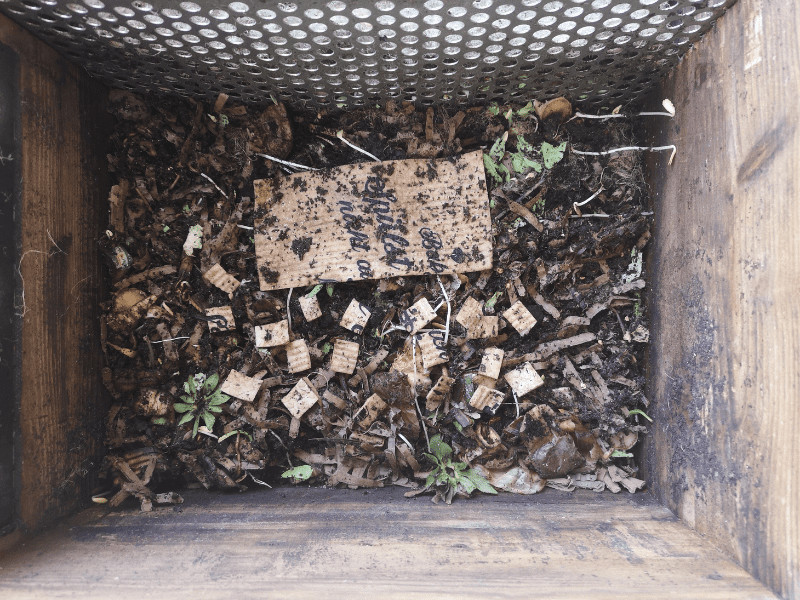 abbaubaren schwamm in wurmkiste kompostieren