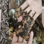 erfahrungsbericht schwamm kompostieren wurmkiste