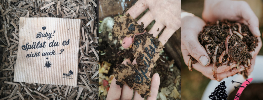 erfahrungsbericht schwamm kompostieren wurmkiste