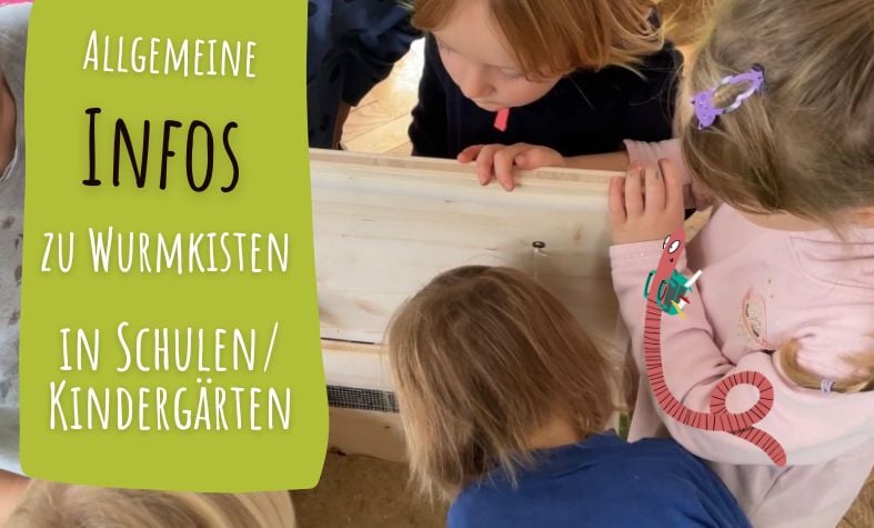 Wurmkiste in Schulen Kindergaerten Allgemeine Infos