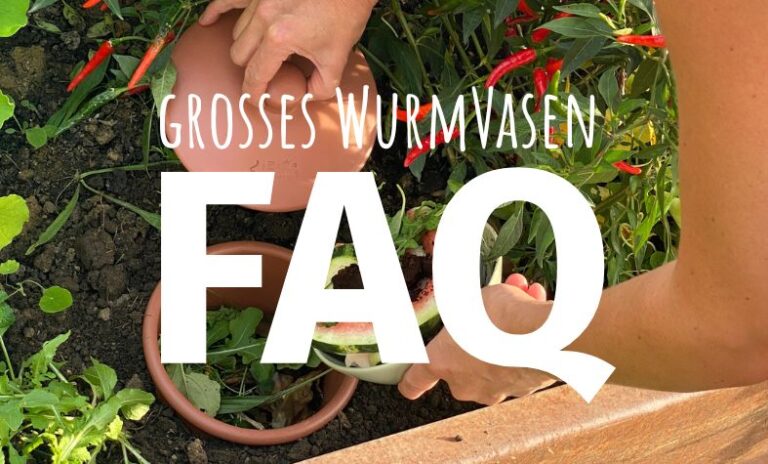 großes wurmvasen und beetkomposter faq